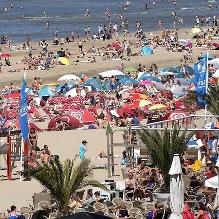 Evy's Garden House 3*