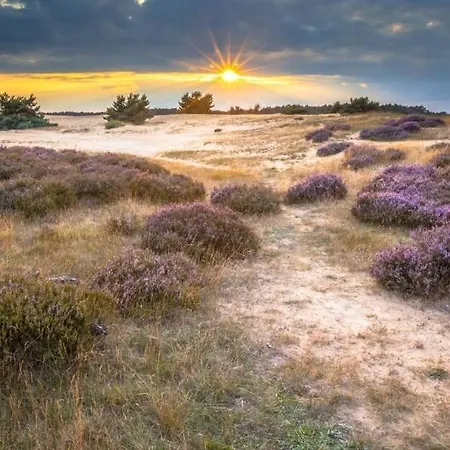 Penzion Evy's Garden House